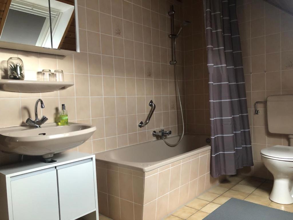 Fewo Stubenhocker Daire Pleisweiler-Oberhofen Dış mekan fotoğraf